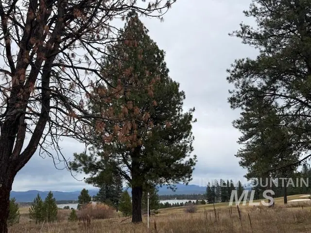 86 Azure Court, Donnelly, ID 83615 - Image #1