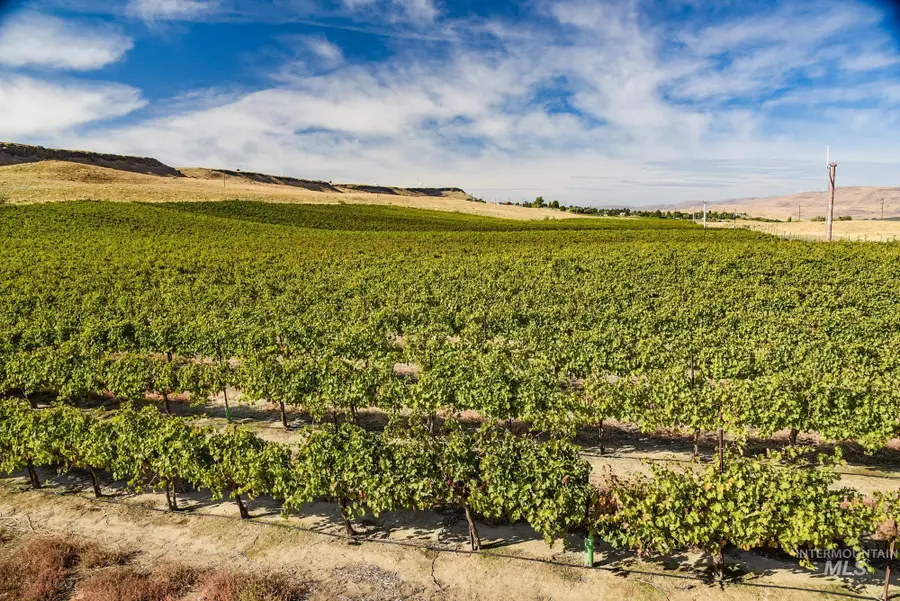 73809 Rattlesnake Road, Arlington, OR 97812 - Image #3