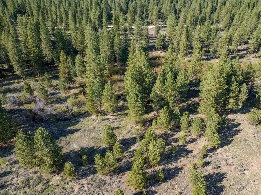 Lot 27 Trail Creek Ct, Placerville, ID 83666 - Image #2