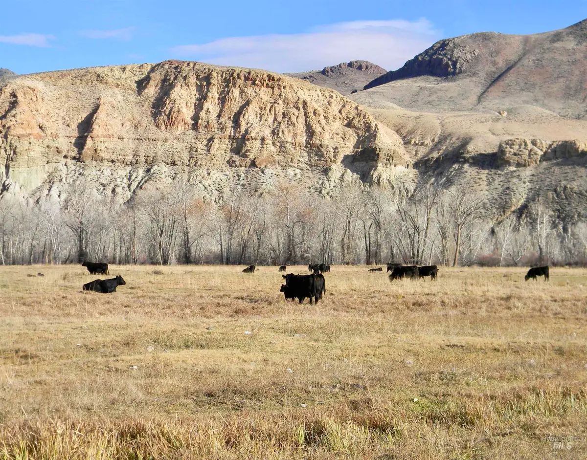 24950 Hwy. 93, Challis, ID 83226 - Image #1
