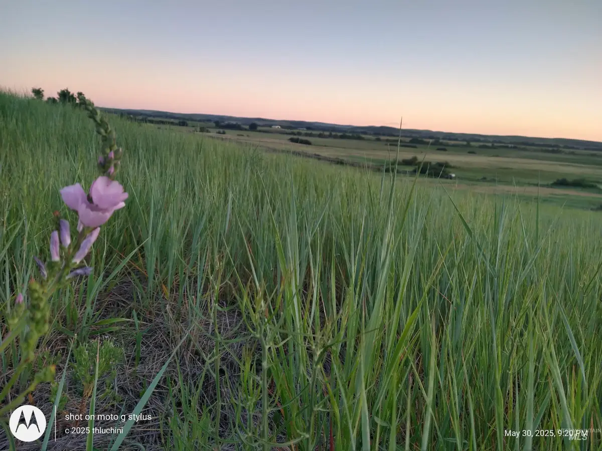 TBD Whiteman Ln, Indian Valley, ID 83632 - Image #1