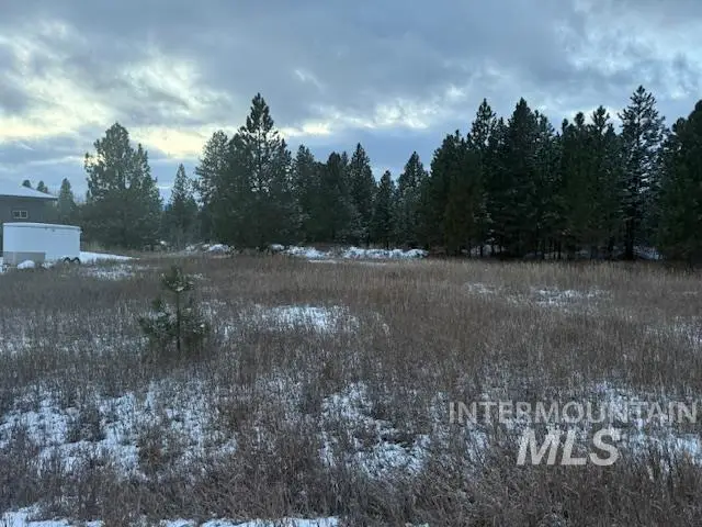 162 Fox Lane, McCall, ID 83638 - Image #2