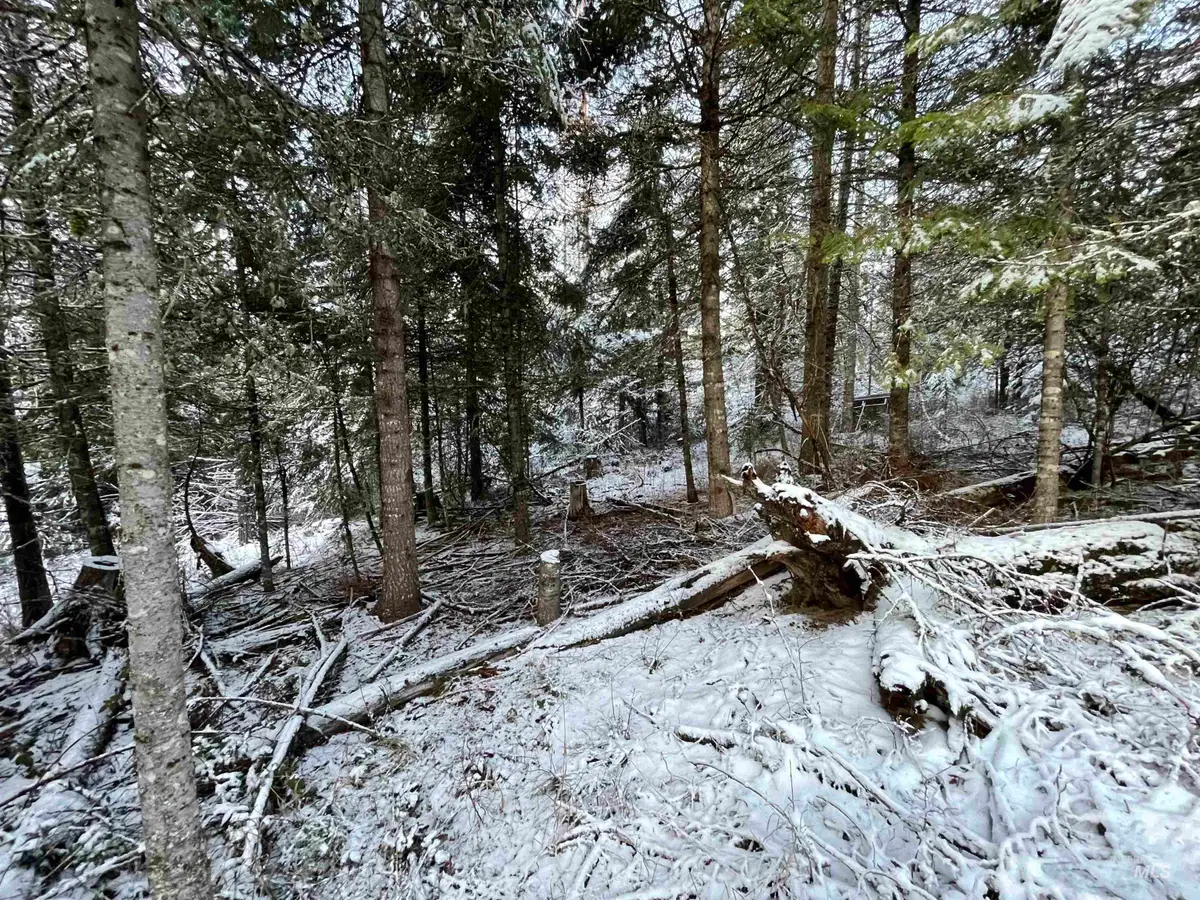 NKA Hwy 8, Helmer, ID 83823 - Image #1