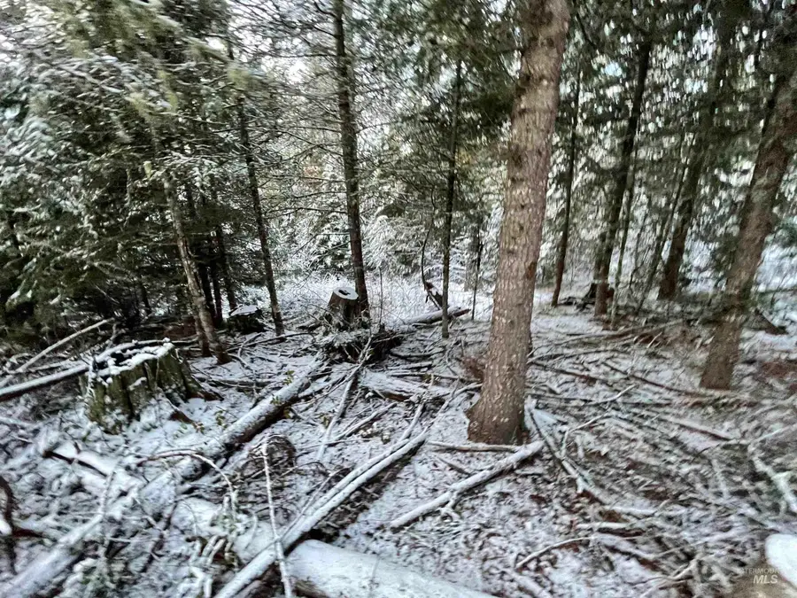 NKA Hwy 8, Helmer, ID 83823 - Image #2