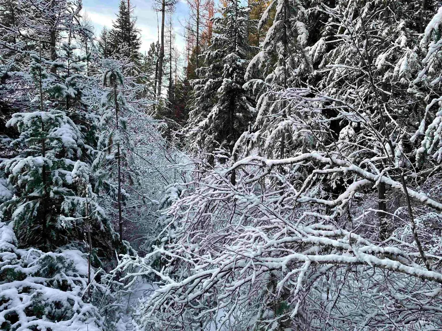 NKA Hwy 8, Helmer, ID 83823 - Image #3