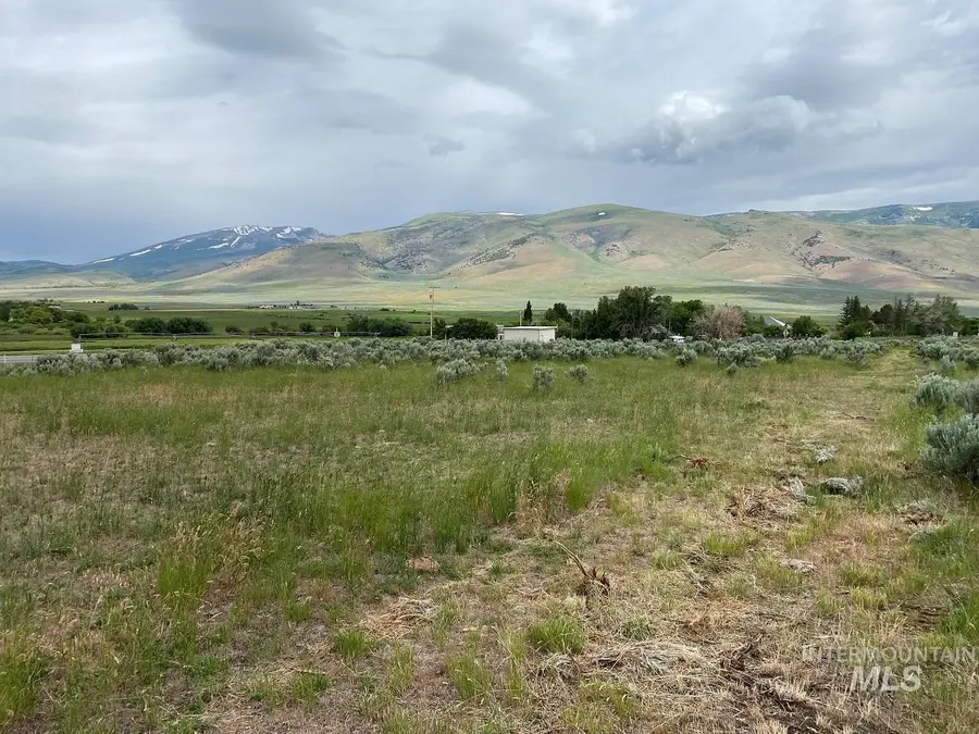 1977 S Elba Almo Road, Elba, ID 83342 - #2