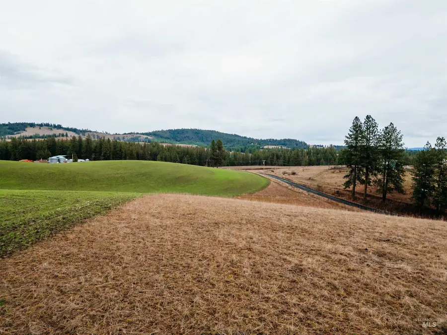 TBD Pardee Road, Kamiah, ID 83536 - Image #3