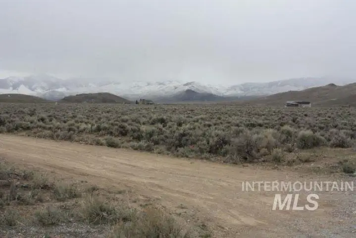 5893 Remington, Mackay, ID 83251 - #3