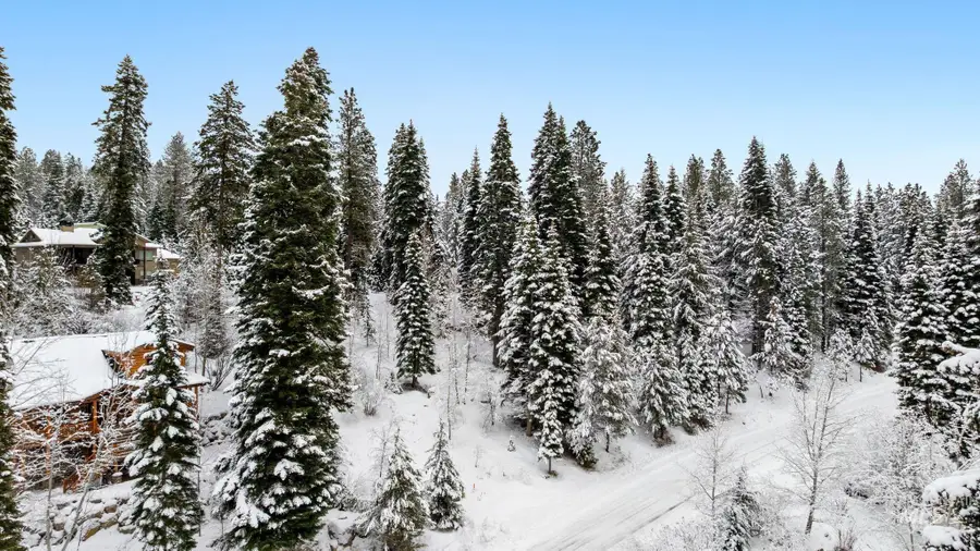 1435 Majestic View Dr, McCall, ID 83638 - #2