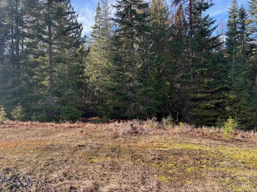 TBD Freeeman Creek, Lenore, ID 83541 - #2