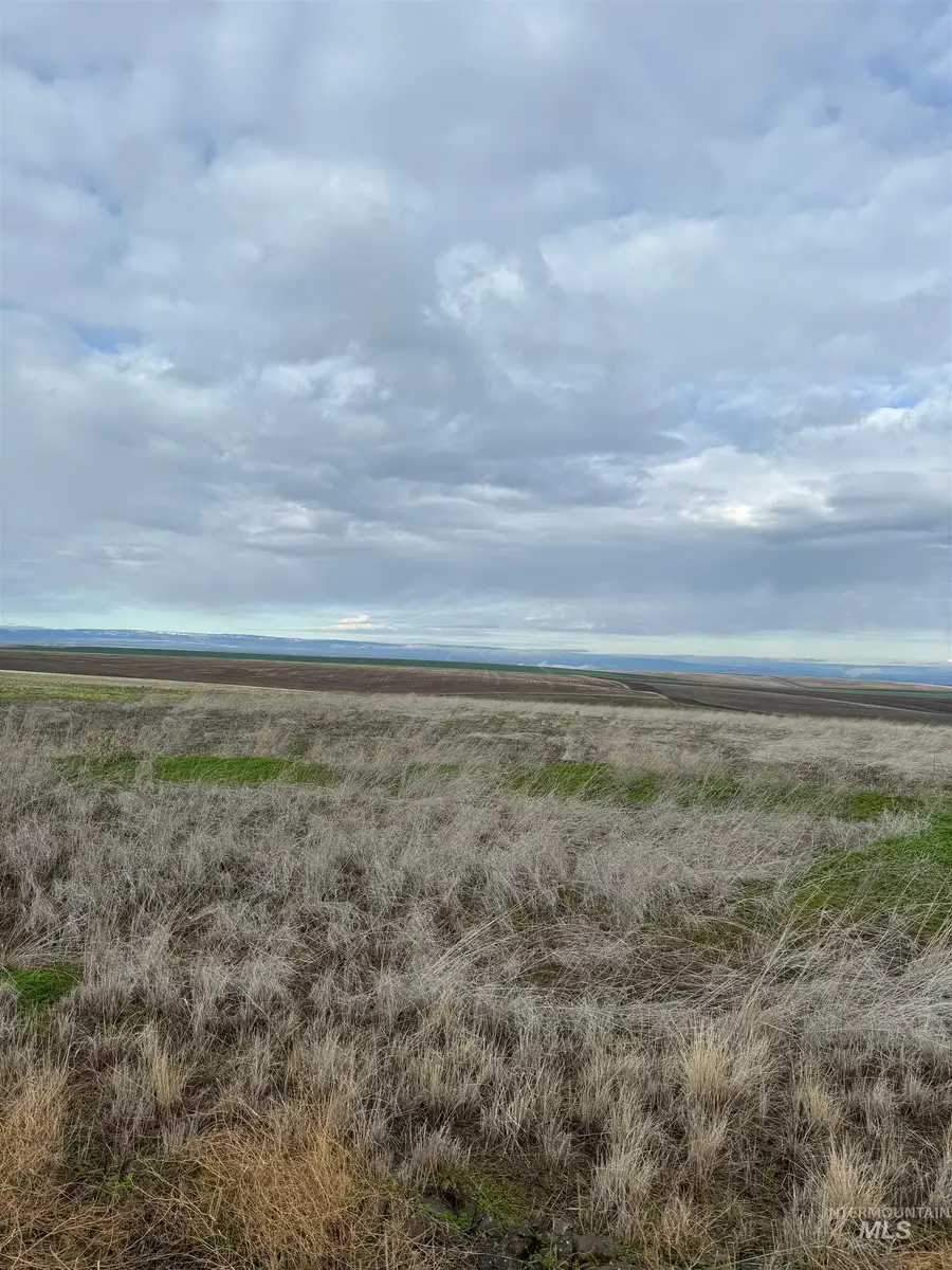 Lot 11A TBD Pheasant Loop Rd, Lewiston, ID 83501 - #2