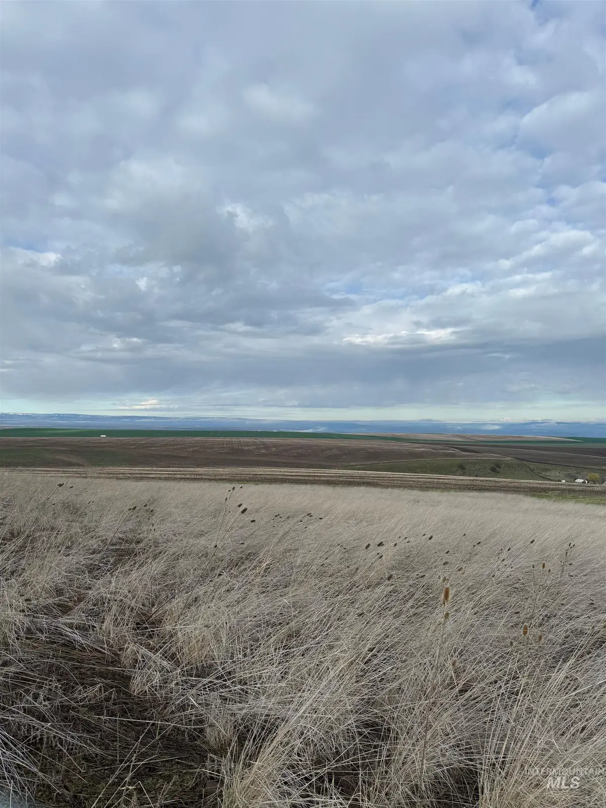 Lot 13A TBD Pheasant Loop, Lewiston, ID 83501 - #1
