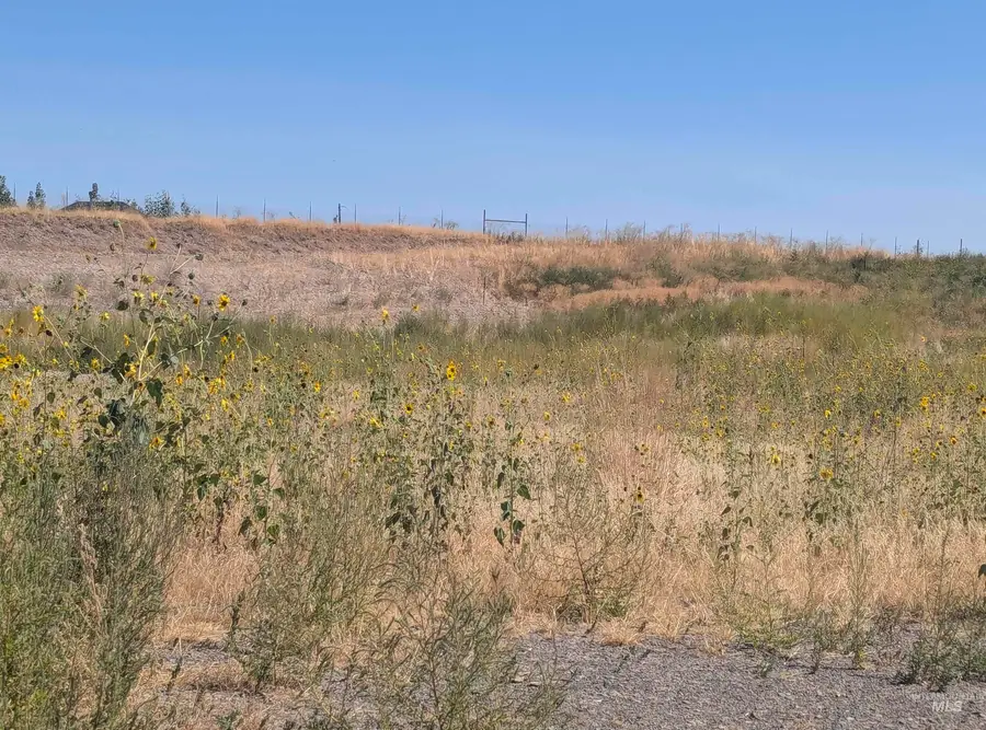 TBD Indian Hot Springs, Weiser, ID 83672 - Image #3