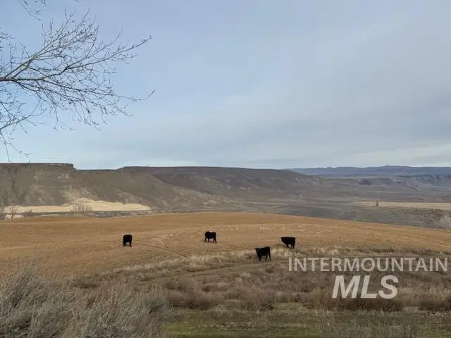 2934 E Little Basin Rd, King Hill, ID 83633 - Image #2