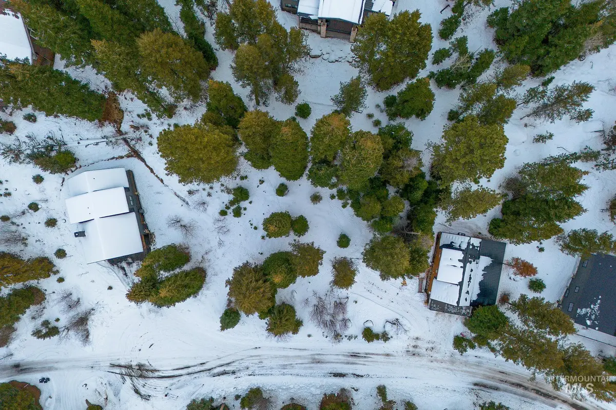 1130 Bellflower Place, McCall, ID 83638 - #1