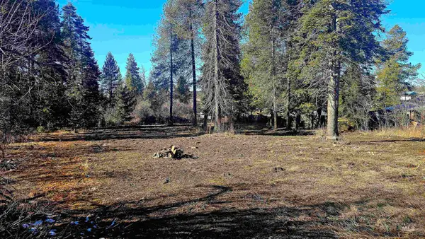 92 Rouleau Loop, Weippe, ID 83531