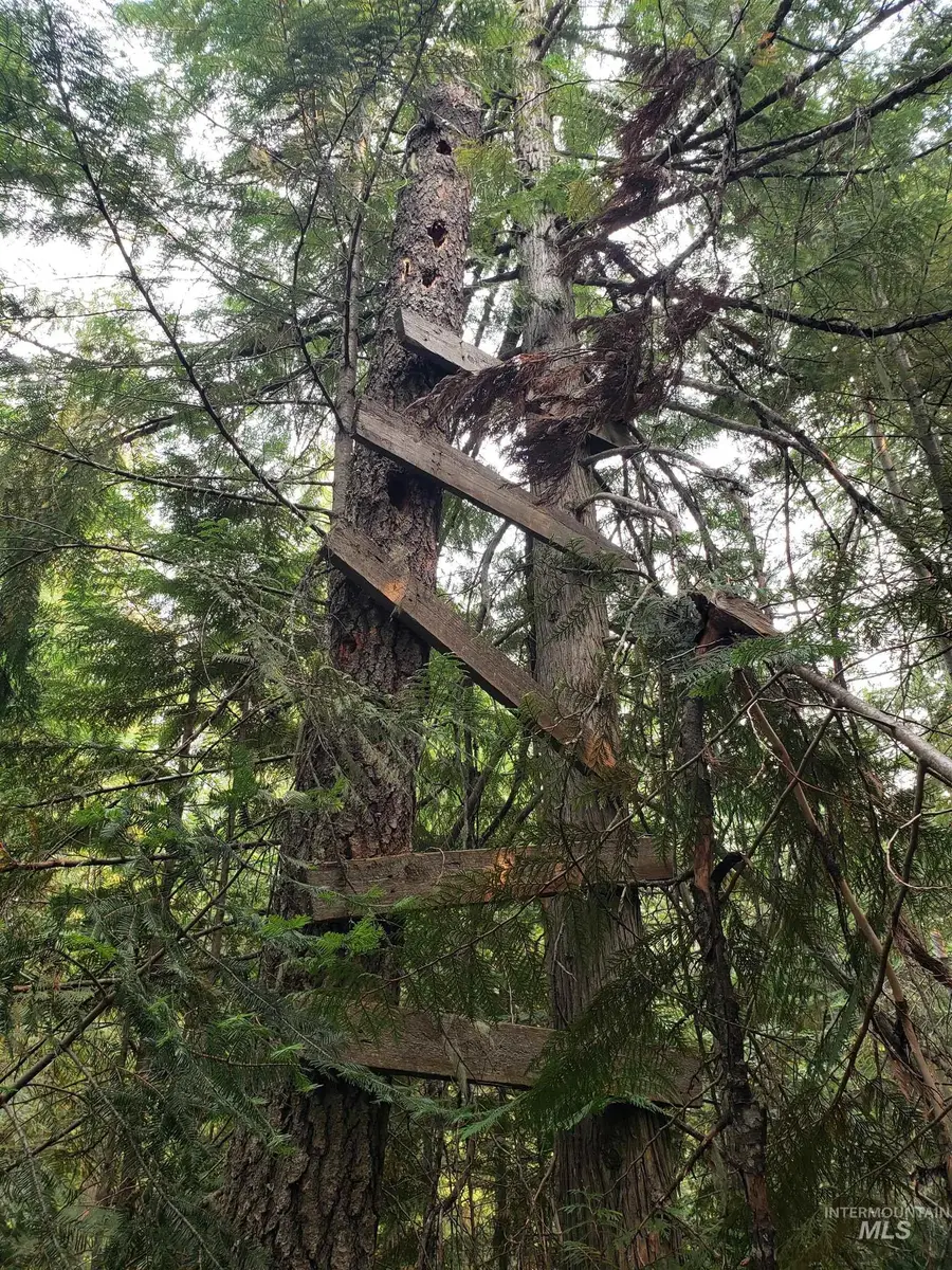 80 E Ridge Dr., Saint Maries, ID 83861 - #2