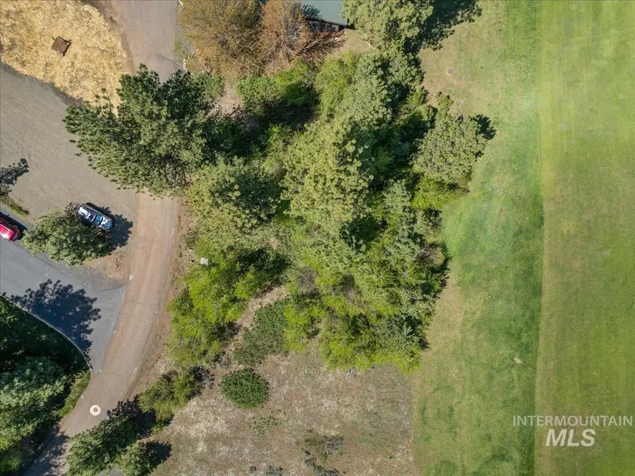L4 Ponderosa Court, New Meadows, ID 83654 - #3
