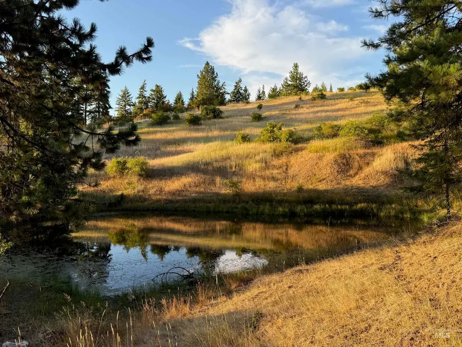 993 Norton Knob Ln, Orofino, ID 83544 - #2