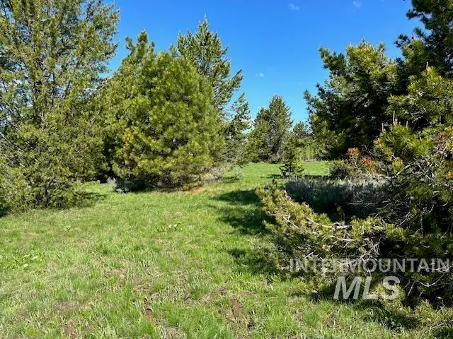 969 Valley View Dr, McCall, ID 83638 - #2