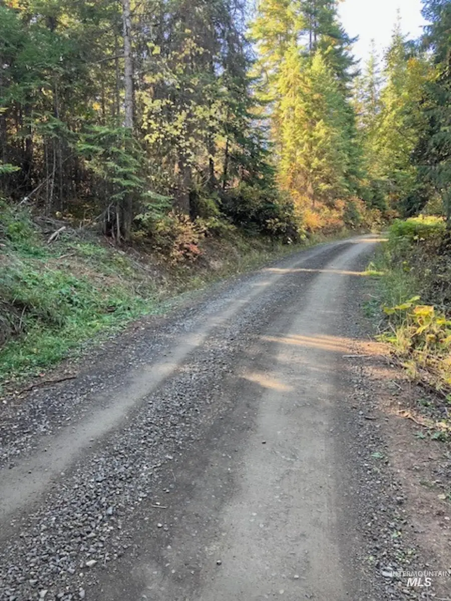 TBD Glacier Drive, Saint Maries, ID 83861 - #3
