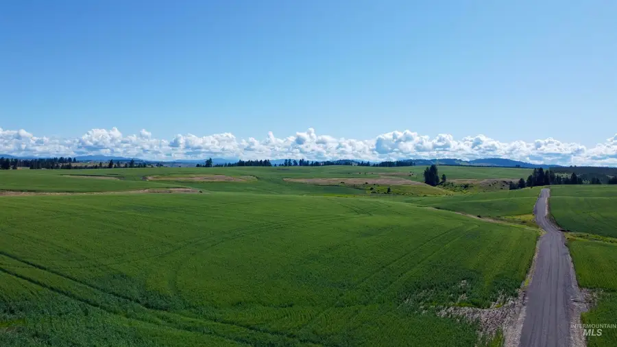 TBD Basket Rd Parcel 2, Nezperce, ID 83543 - #3