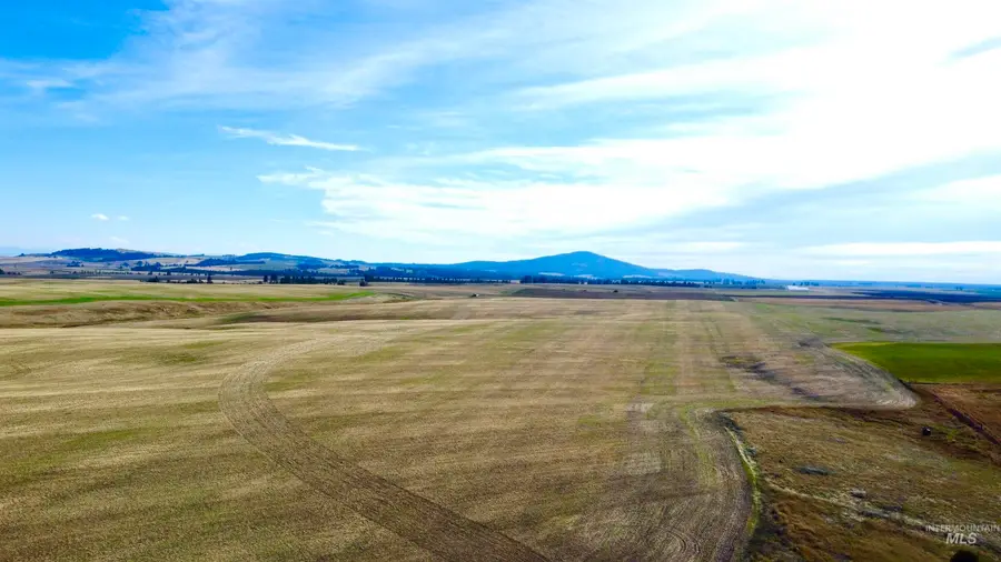 TBD Westlake Rd (80ac), Craigmont, ID 83523 - #2