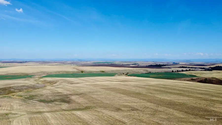 TBD Westlake Rd (80ac), Craigmont, ID 83523 - #3