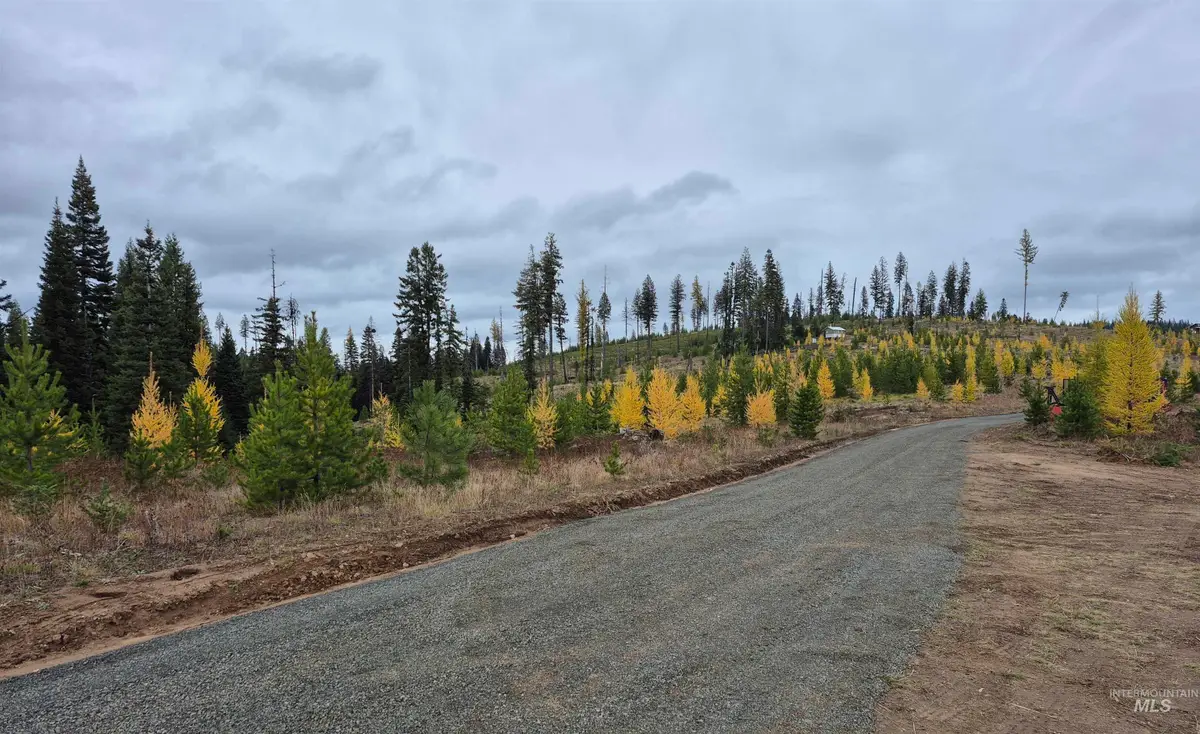 TBD French Gulch Parcel 3, Elk City, ID 83525 - #1