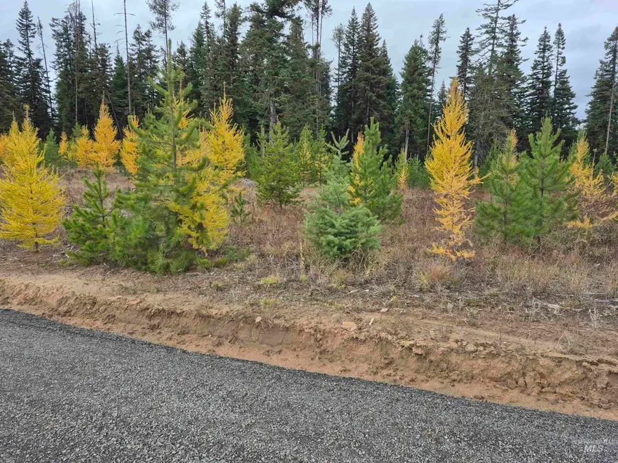 TBD French Gulch Parcel 3, Elk City, ID 83525 - #3