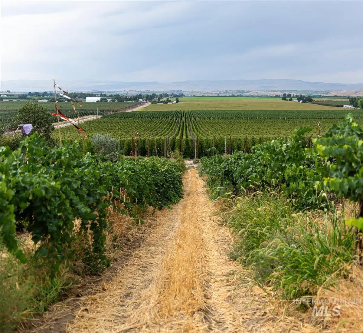 24013 Arena Valley Rd, Parma, ID 83660 - #1