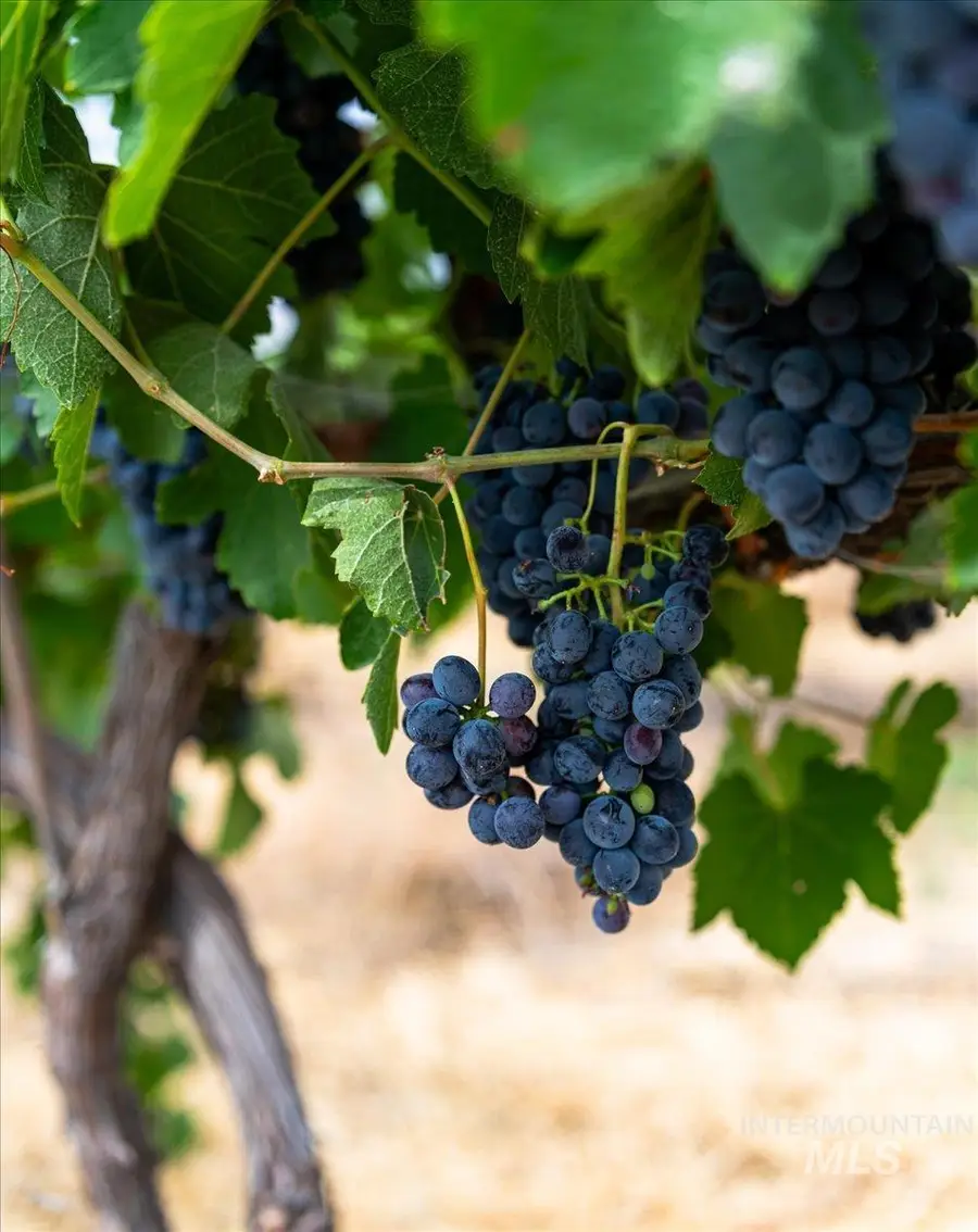 24013 Arena Valley Rd, Parma, ID 83660 - #2