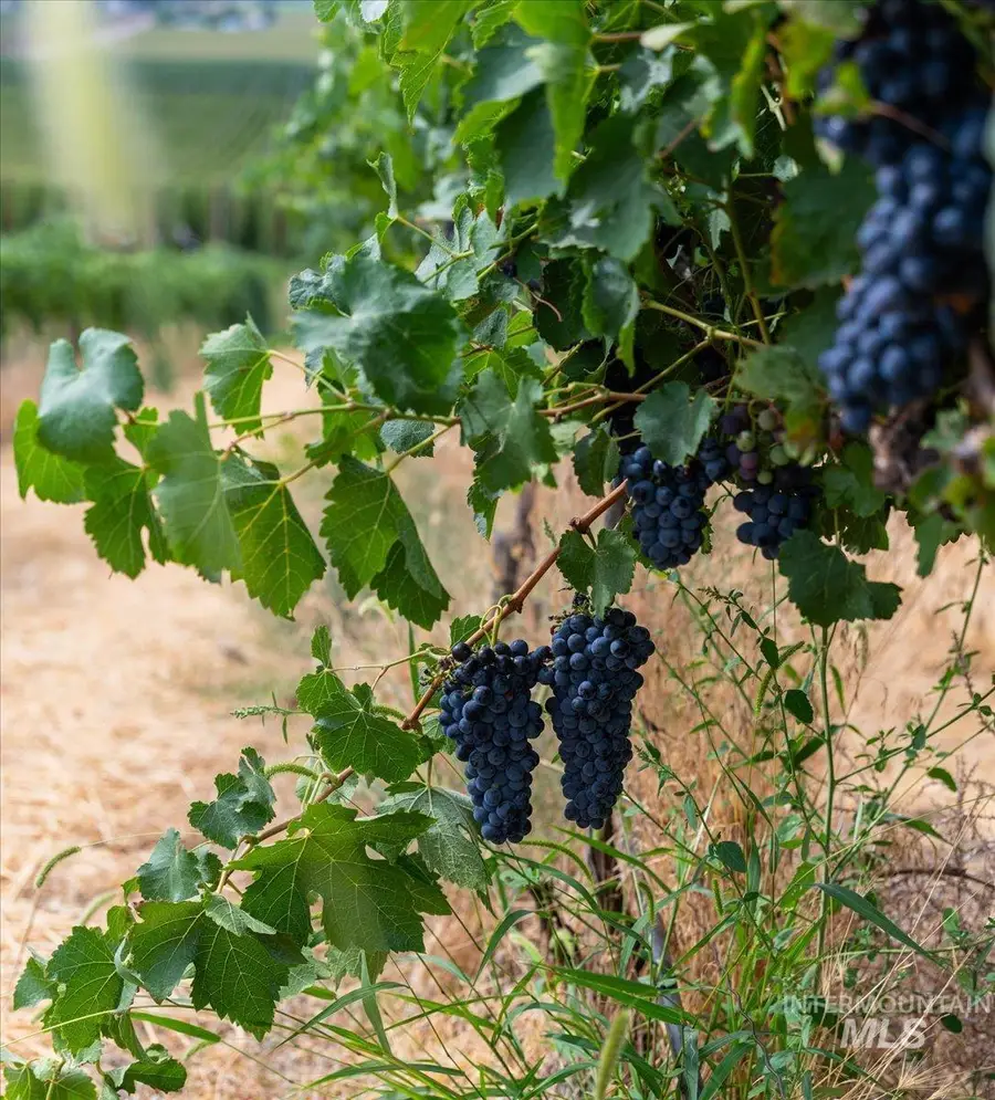 24013 Arena Valley Rd, Parma, ID 83660 - #3