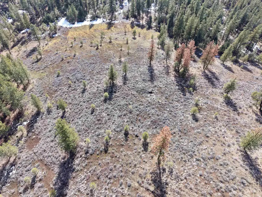 Lot 6 Bloc Van Dorn Estates, New Meadows, ID 83654 - #3