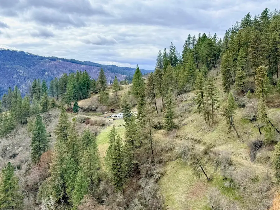 620 Old Peck Grade, Lenore, ID 83541 - #2