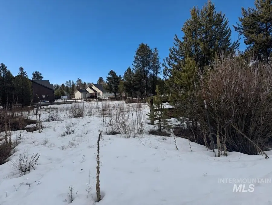 12918 Red Fir Rd, Donnelly, ID 83615 - #2