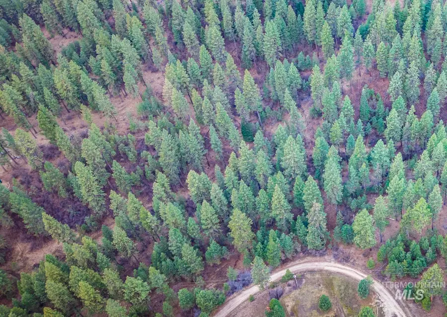 Lot 1 Card Creek, Casey Estates#3, Garden Valley, ID 83622 - #3