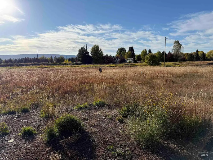 14063 Mulberry Street, McCall, ID 83638 - #3