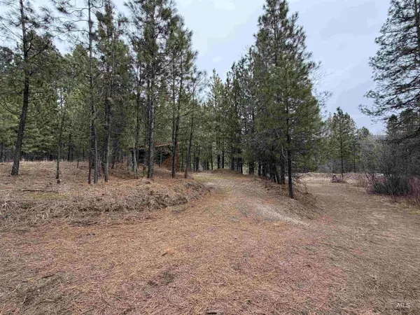 Parcel B S Middle Fork Road, Garden Valley, ID 83622