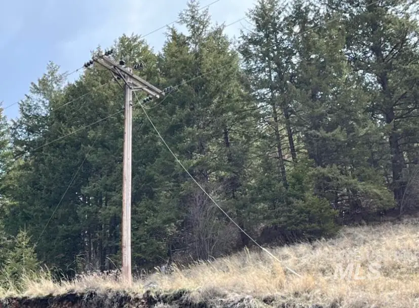 TBD State Highway 129, Anatone, WA 99401 - #2