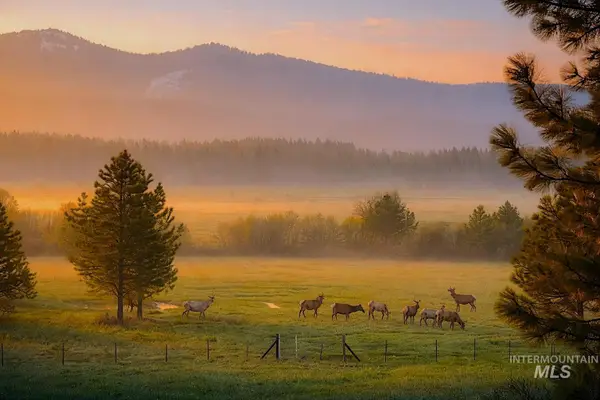 1217 Elo Road, McCall, ID 83638