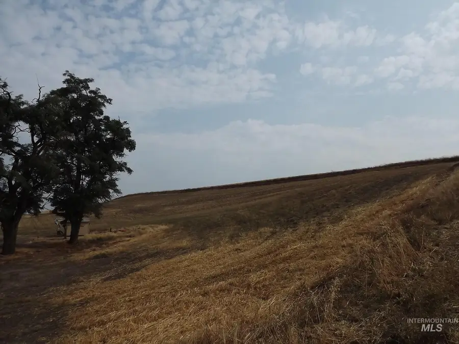 19104 Webb Road, Lewiston, ID 83501 - #3