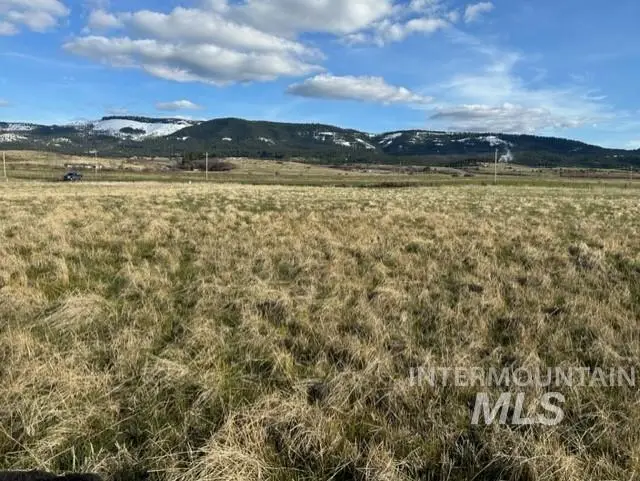 TBD Whitetail Dr, Grangeville, ID 83530 - #1