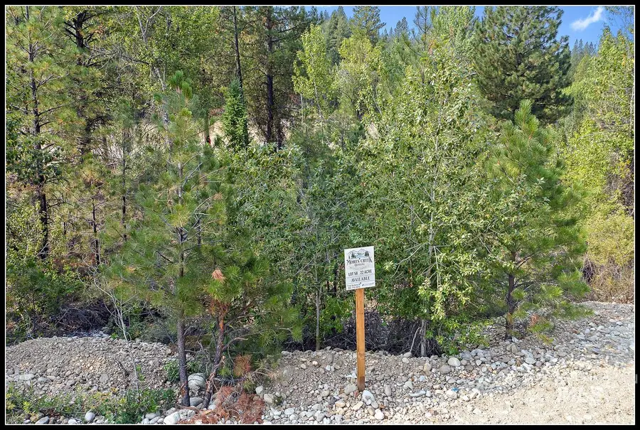 Lot 58 Mores Creek Dr, Idaho City, ID 83631 - #2