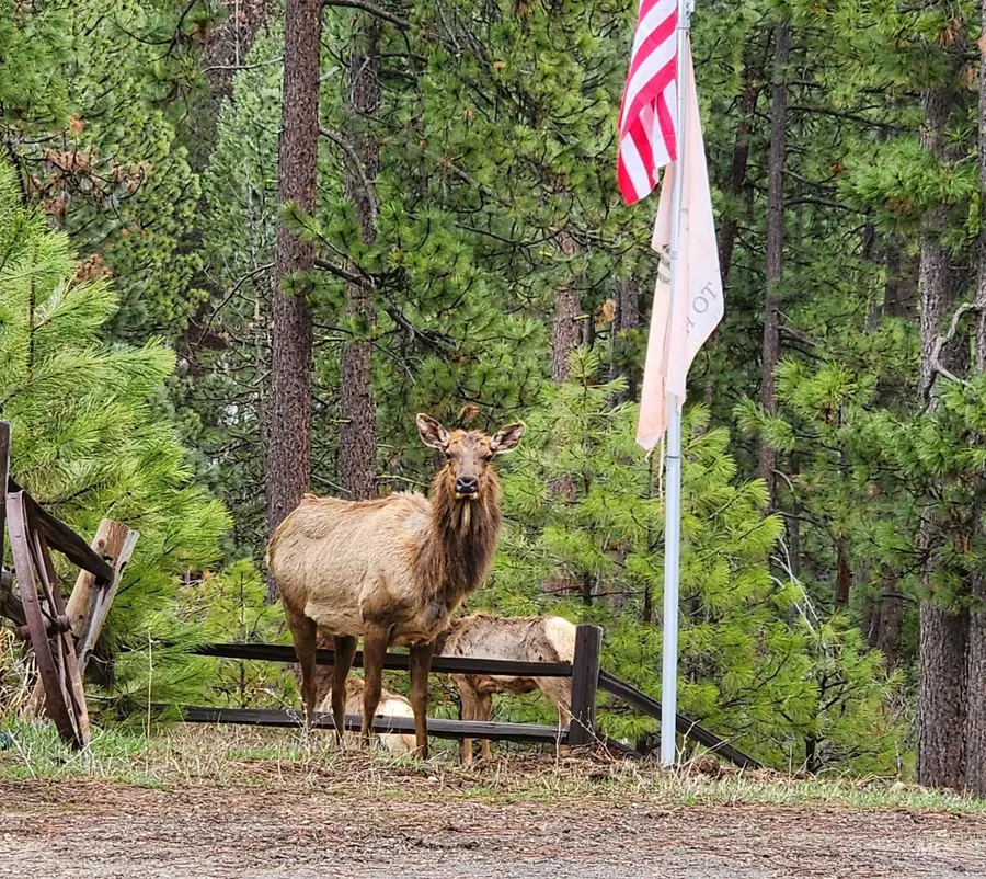 27 Park Lane, Boise, ID 83716 - #2