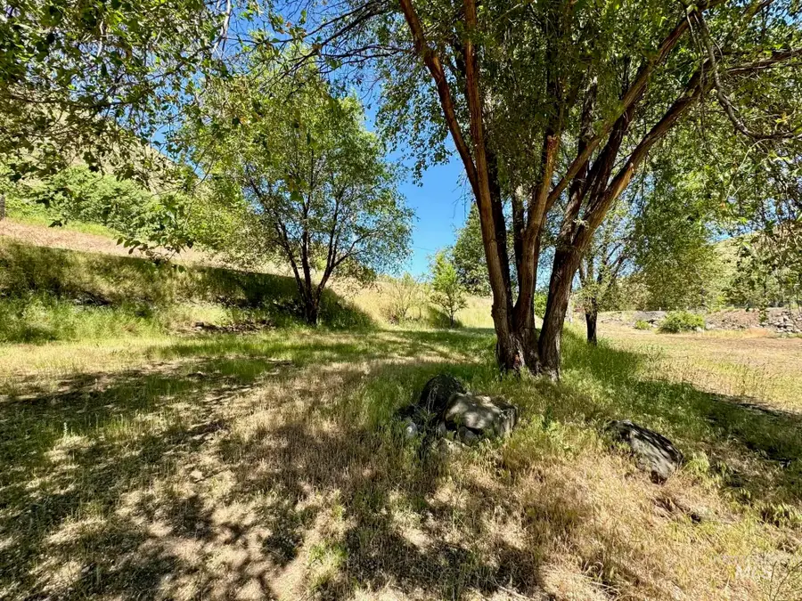 115 Helm Lane, Pollock, ID 83547 - #3