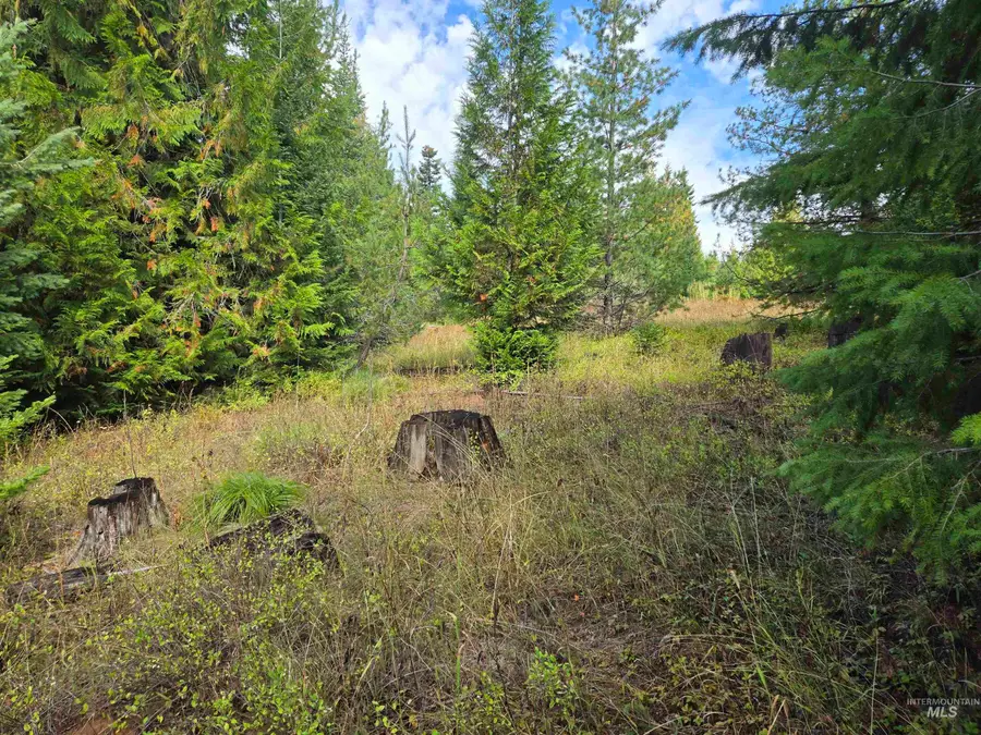 TBD #7 Hjalmar Johnson Road, Weippe, ID 83553 - #2