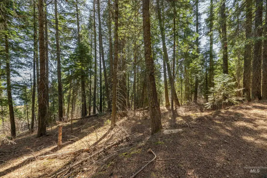 44 Burnt Wagon Tr, Donnelly, ID 83615 - #3