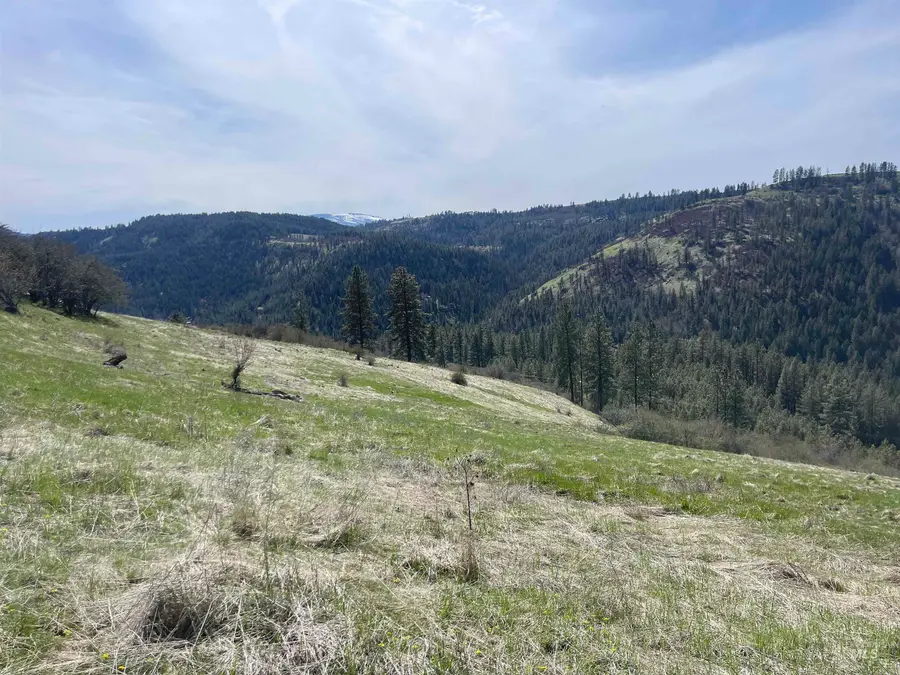 TBD Wagon Wheel Rd, Harpster, ID 83552 - #3