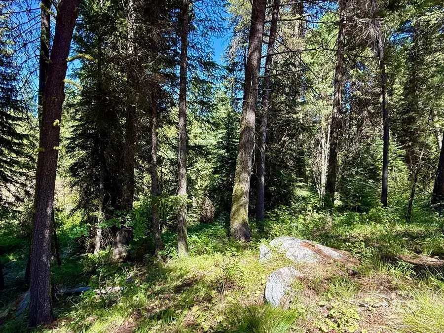 83 Panorama Drive, Cascade, ID 83611 - #3